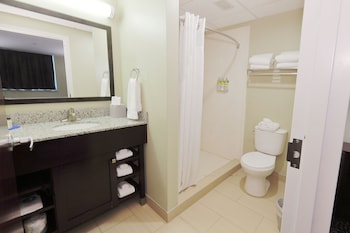 Suite, 1 King Bed