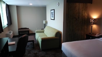 Standard Room, 1 King Bed with Sofa bed