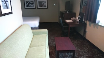 Standard Room, 1 King Bed with Sofa bed