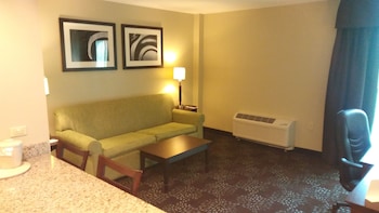 Suite, 1 King Bed with Sofa bed