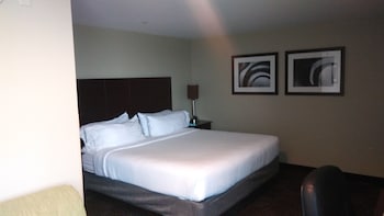 Suite, 1 King Bed, Accessible (Communications Accessible)