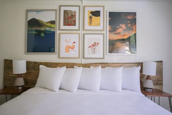 Room, 1 King Bed