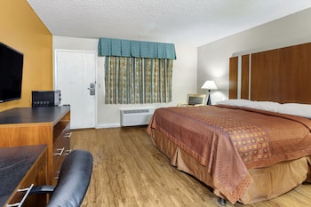 One King Bed