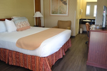 Room, 1 King Bed, Non Smoking