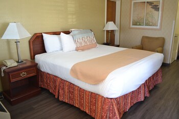 Room, 1 King Bed, Non Smoking