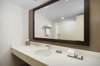 1 Bedroom Suite, 1 King Bed, Sofa Bed