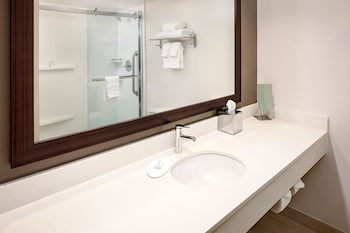 1 Bedroom Suite, 1 King Bed, Sofa Bed