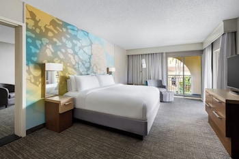 1 Bedroom Suite, 1 King Bed, Sofa Bed