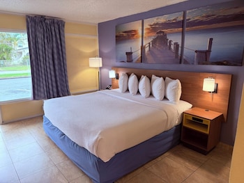 Room, 1 King Bed, Non Smoking