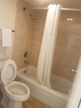 Room, 1 King Bed, Non Smoking (Mobility/Hearing, roll-in shower)