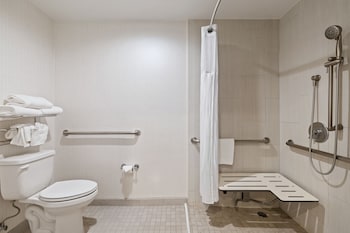 Room, 1 King Bed, Roll-in Shower, Courtyard View (Communications Accessible)