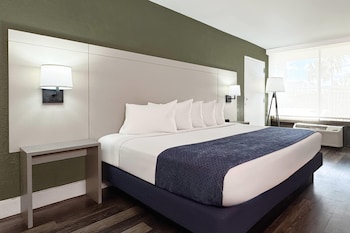 Room, 1 King Bed, Non Smoking