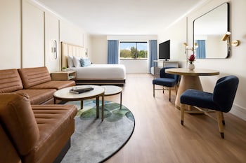Standard Room (King)