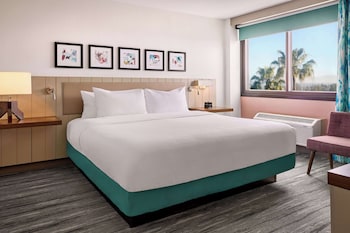 Suite, 1 Bedroom