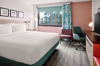 Room, 1 King Bed (Roll-In Shower)