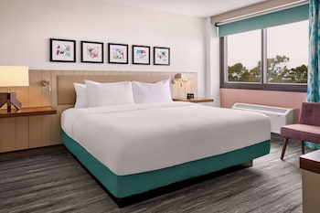 Suite, 1 Bedroom