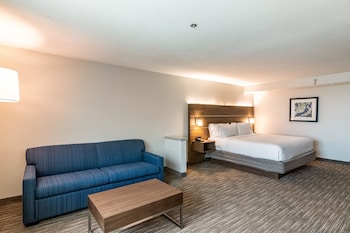 Suite, 1 King Bed with Sofa bed