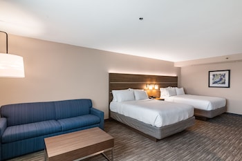 Suite, 1 King Bed with Sofa bed