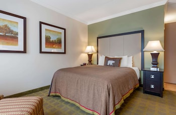 Standard Room, 1 Queen Bed, Accessible, Refrigerator & Microwave