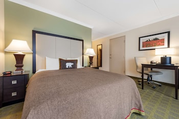 Standard Room, 1 Queen Bed, Accessible, Refrigerator & Microwave