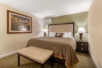 Suite, 1 King Bed, Non Smoking, Refrigerator & Microwave