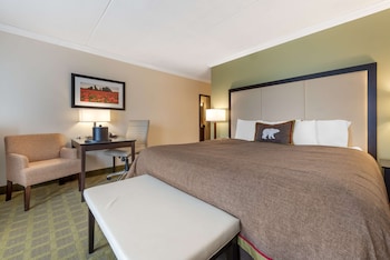 Standard Room, 1 King Bed, Non Smoking, Refrigerator & Microwave