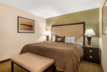 Executive Room, 1 King Bed, Non Smoking, Refrigerator & Microwave (Living Room;with Sofabed)