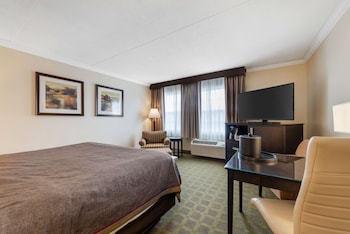 Standard Room, 1 King Bed, Non Smoking, Refrigerator & Microwave