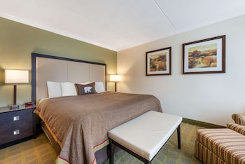 Standard Room, 1 King Bed, Non Smoking, Refrigerator & Microwave