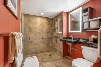 Standard Room, 1 Queen Bed, Accessible, Refrigerator & Microwave