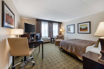 Standard Room, 1 Queen Bed, Accessible, Refrigerator & Microwave
