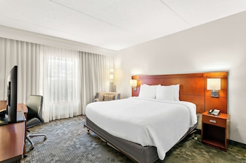Room, 1 King Bed, Accessible (Mobility/Hearing Tub)