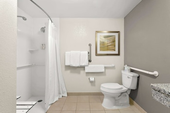 Room, 1 King Bed, Accessible (Mobility/Hearing Tub Roll in Shower)
