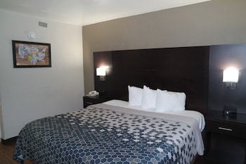 Room, 1 King Bed, Non Smoking