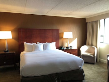 Suite, 1 King Bed