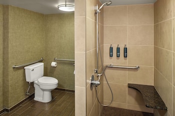 Suite, 1 King Bed, Accessible (Roll-In Shower)