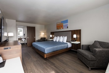 Suite, 1 King Bed, Non Smoking (Larger Room)