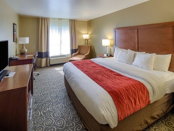 Standard Room, 1 King Bed, Non Smoking