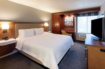 Room (1 King Bed Nonsmoking)