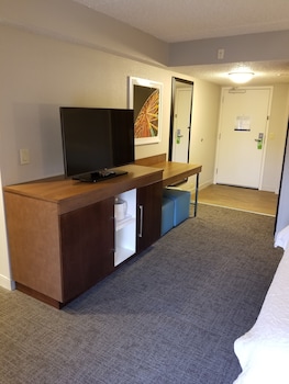 Room (1 King Deluxe w/Sofabed Nonsmoking)