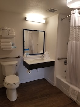 Room, 1 King Bed, Accessible, Non Smoking
