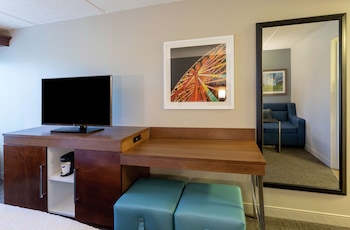 Room (1 King Study Sofabed Nonsmoking)