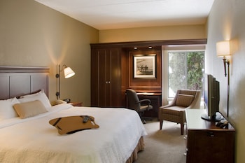 Room, 1 King Bed, Accessible, Non Smoking