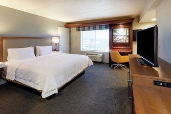 Room (1 King Deluxe w/Sofabed Nonsmoking)