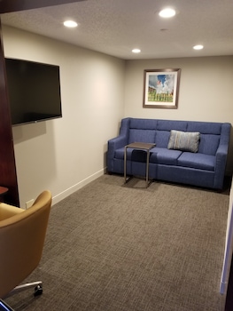 Room (1 King Deluxe w/Sofabed Nonsmoking)