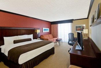 Standard Room, 1 King Bed with Sofa bed