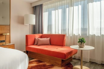 Superior Room, 1 King Bed, Park View
