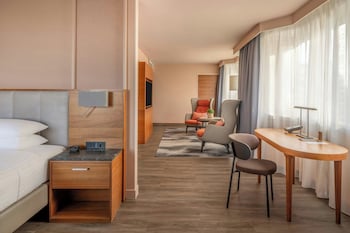 Executive Suite, 1 Double Bed