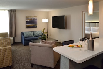 Room, 1 Bedroom (Mobility, Transfer Shower)