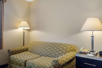 Room, 1 King Bed, Non Smoking